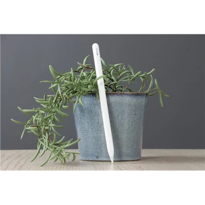 Használt Apple Pencil 2 A US-6940