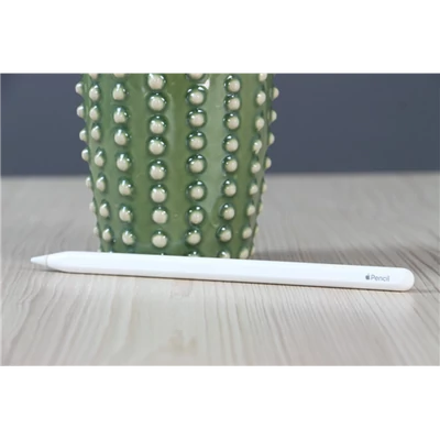 Használt Apple Pencil 2 B US-7051
