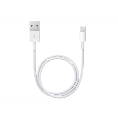 Lightning to USB cable (0.5 m)