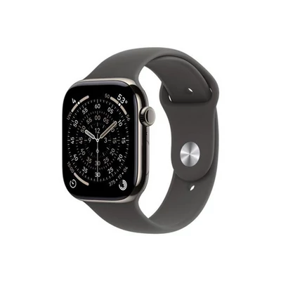 Apple Watch S11 Cellular 46mm Natural Titanium Case with Stone Grey Sport Band - S/M