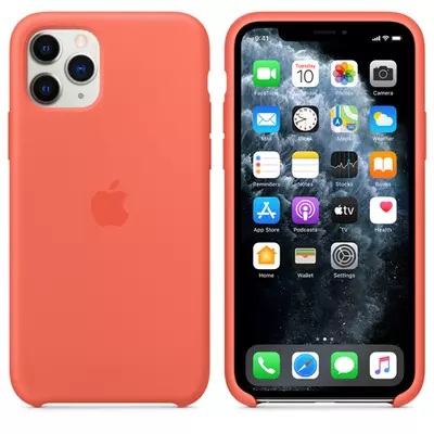 iPhone 11 Pro Silicone Case - Clementine (Orange)