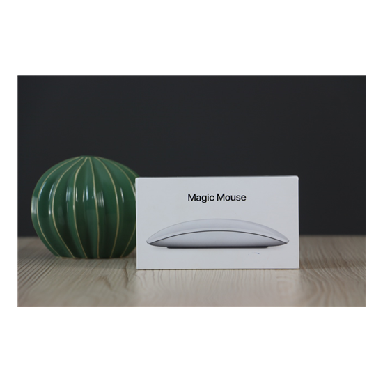 Használt Magic Mouse 2 US-2296