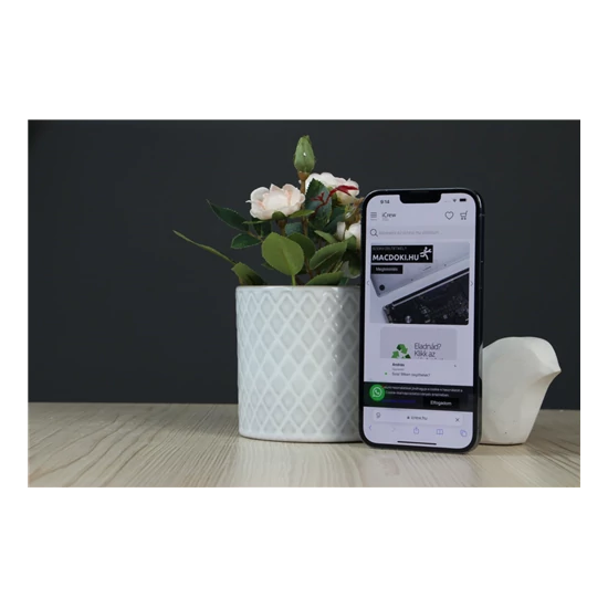 Használt Apple iPhone 13 Pro Max 256GB Sierra Blue B US-6706