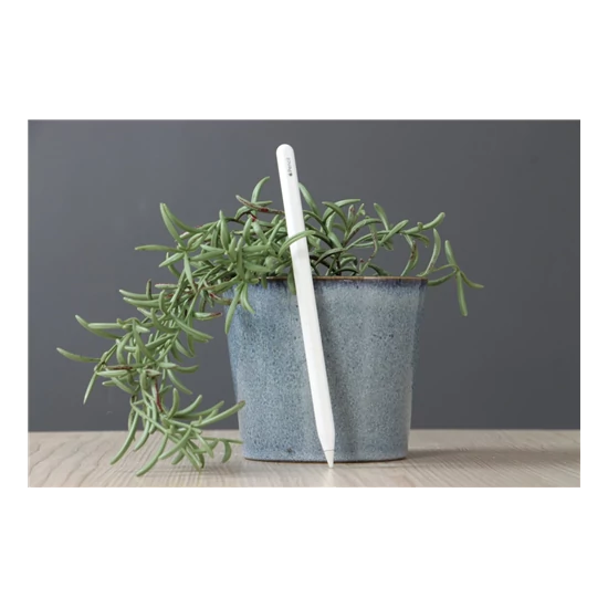 Használt Apple Pencil 2 A US-6940