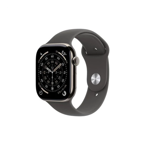 Apple Watch S11 Cellular 46mm Natural Titanium Case with Stone Grey Sport Band - M/L