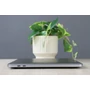 Kép 4/8 - Használt Apple Macbook Pro 13" M1 256/ 8GB Space Gray HUN B US-6837