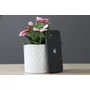 Kép 3/4 - Használt Apple iPhone 11 64GB Black B US-6874