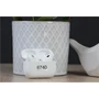 Kép 1/2 - Használt Airpods Pro 2 US-6740