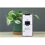 Kép 1/5 - Használt Apple iPhone 12 64GB White B US-6870